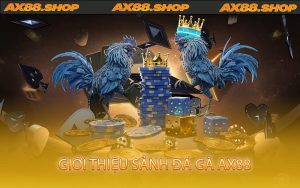 Giới thiệu sảnh đá gà AX88