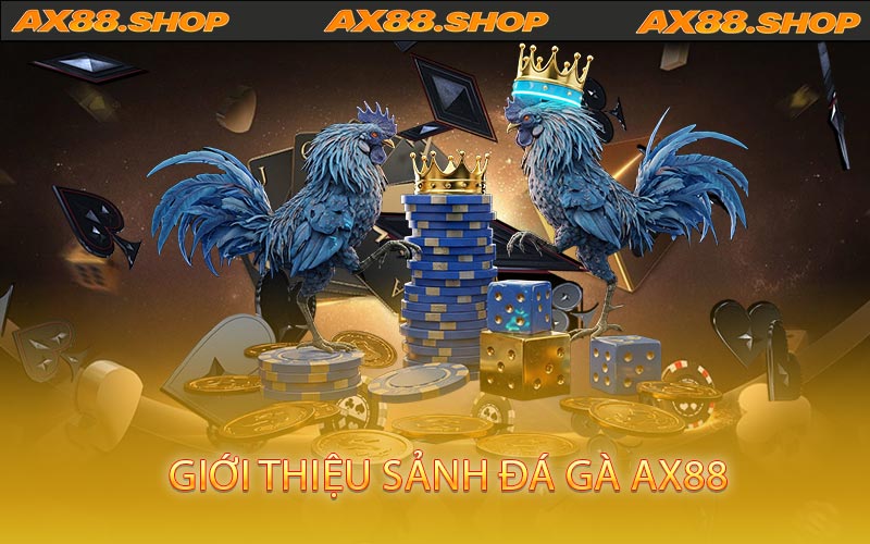 Giới thiệu sảnh đá gà AX88