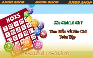 Bao Lô Xỉu Chủ Là Gì