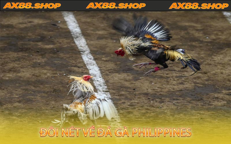 Đôi Nét Về Đá Gà Philippines