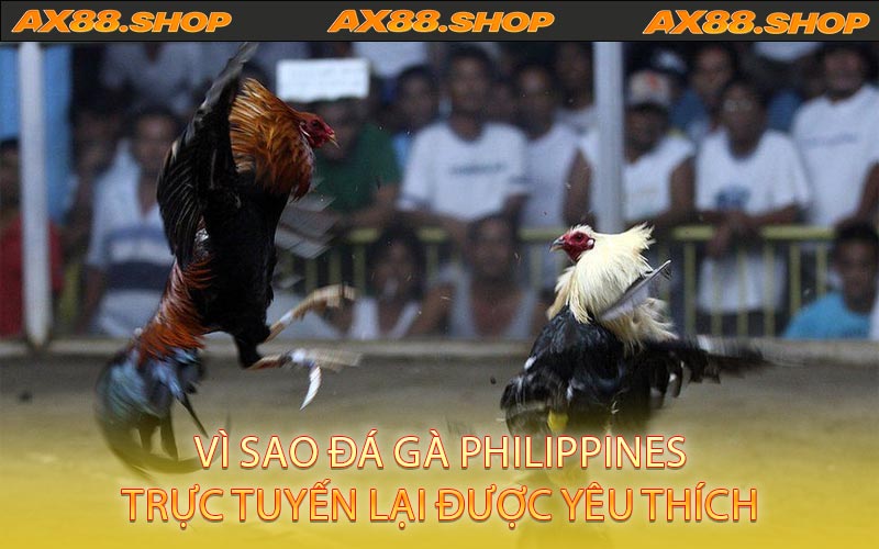 Vì Sao Đá Gà Philippines Trực Tuyến Lại Được Yêu Thích